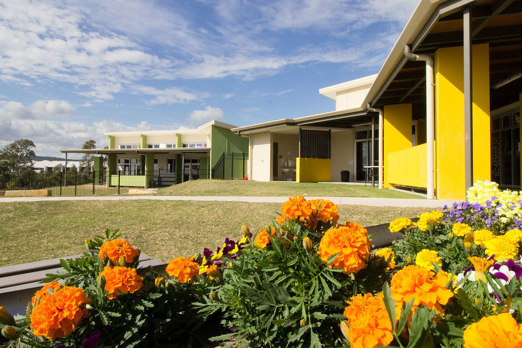 Bright flowers in the foreground with a modern school campus in the background, featuring colourful buildings and covered walkways under a blue sky.